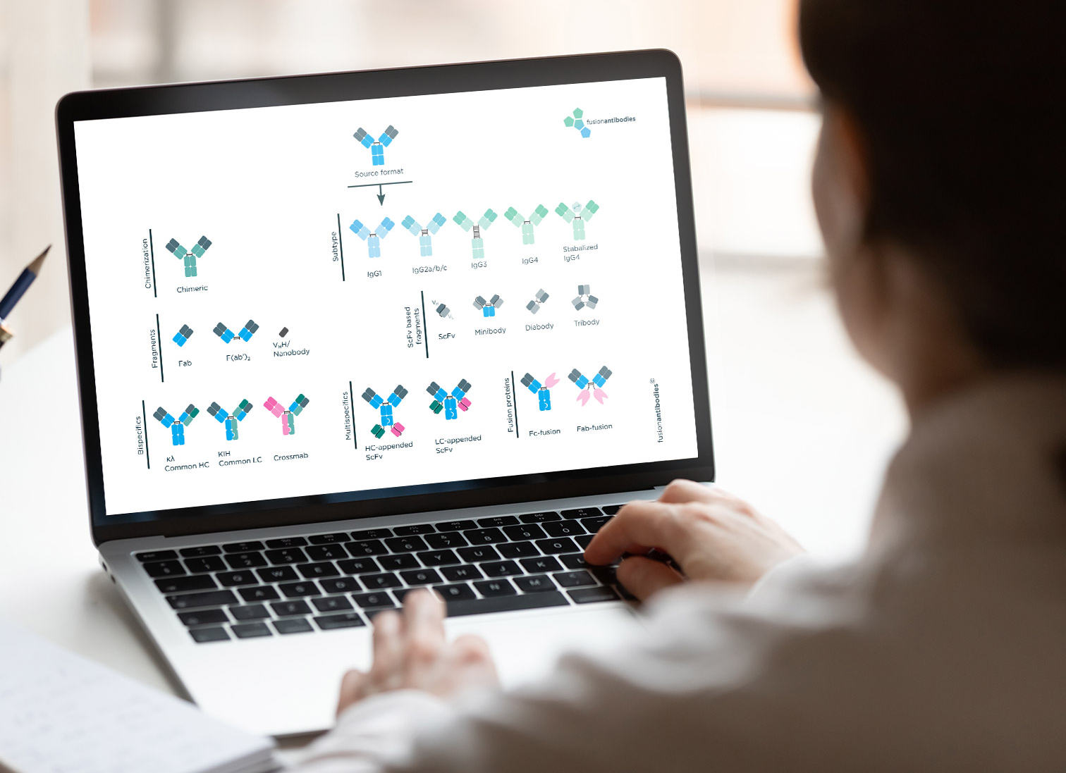 Fusion laboratory supporting Reformatting Antibodies for Precision and Performance