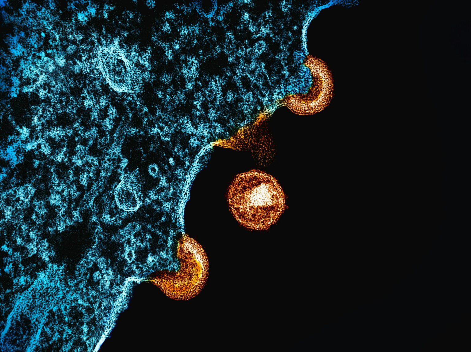 Fusion laboratory supporting Human Therapeutics