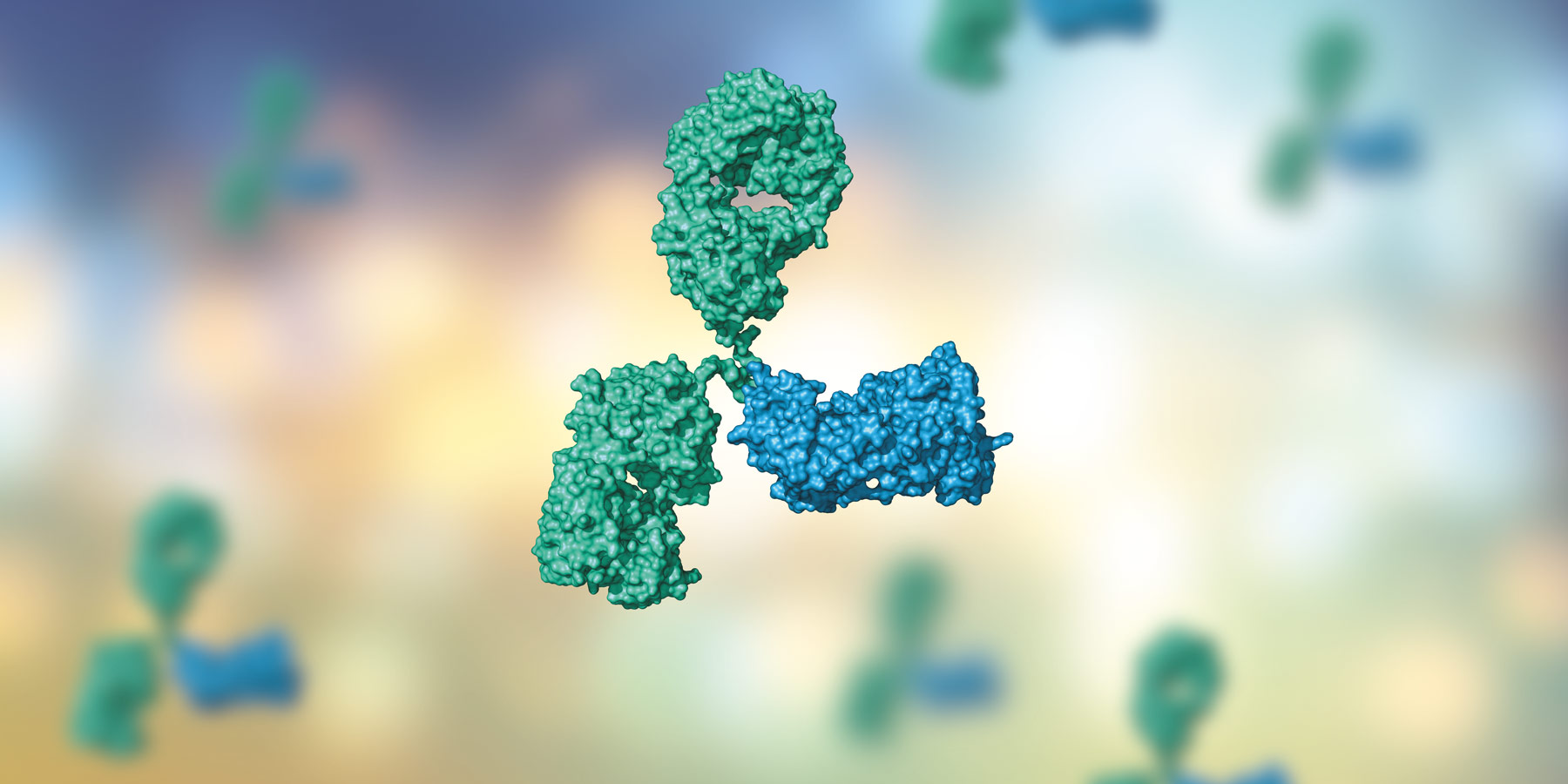 Fusion laboratory supporting Fc Engineering for Function, Stability, and Clinical Success