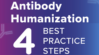 Humanization Best Practice Steps