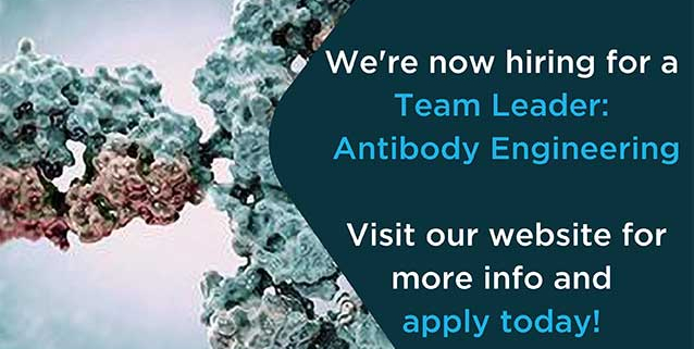 Team Leader, Antibody Engineering.