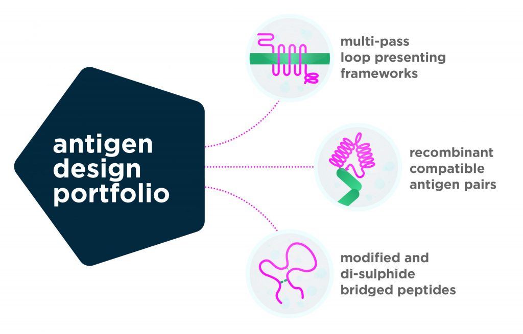 Fusion Antibodies Antigen Design Portfolio