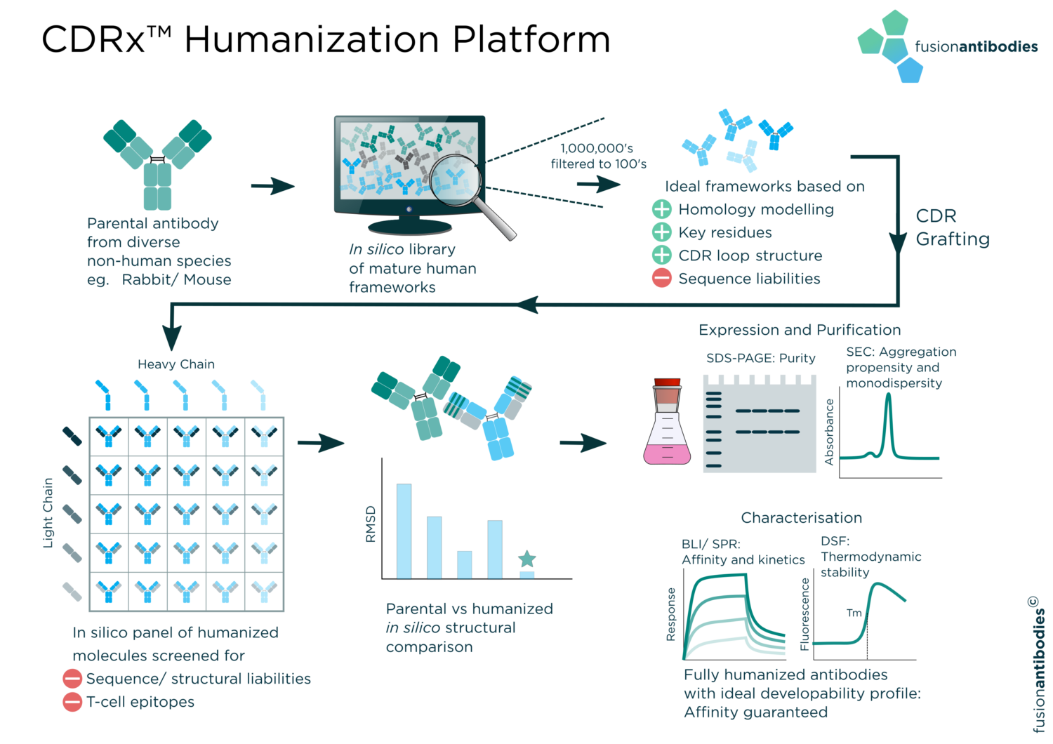 Humanization Schematic