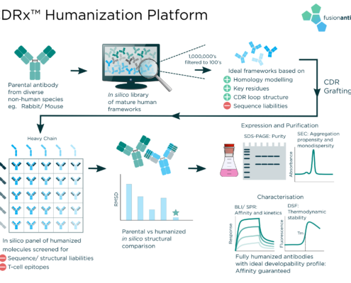 Humanization Schematic