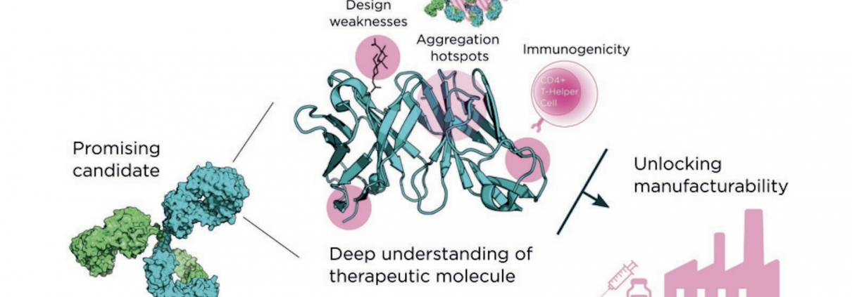 Fusion Antibodies | Quality By Design