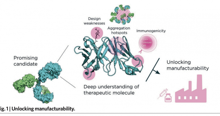 Fusion Antibodies | Quality By Design