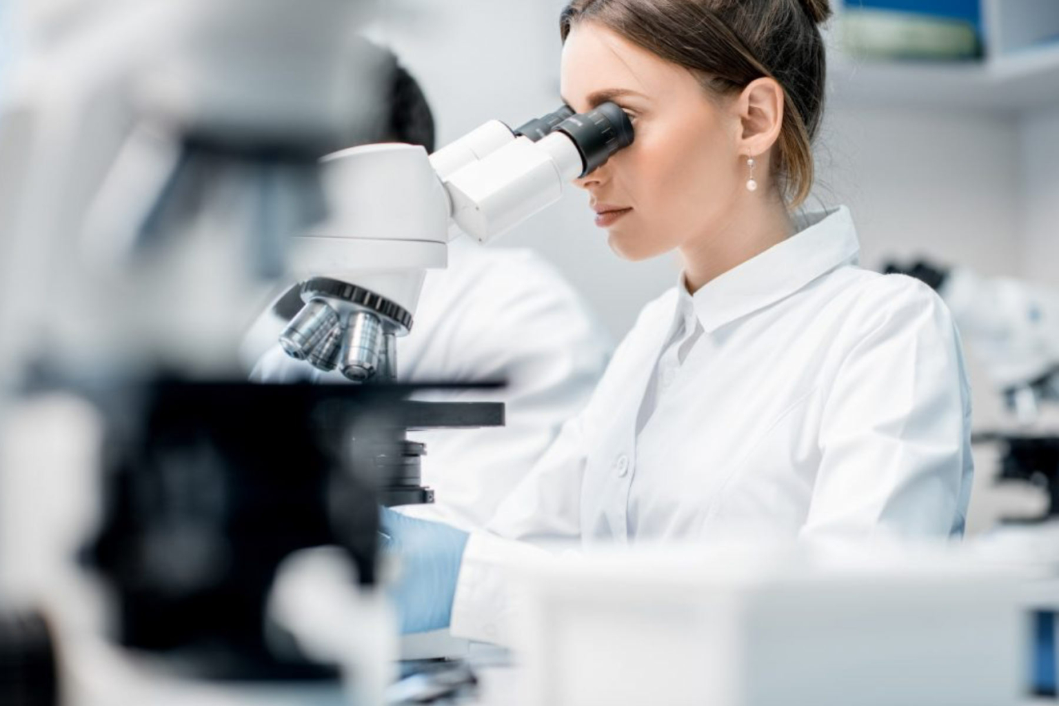 Cell Line Development Fusion Antibodies